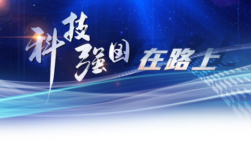 数据中台：揭秘其构建与厂商排名背后的逻辑